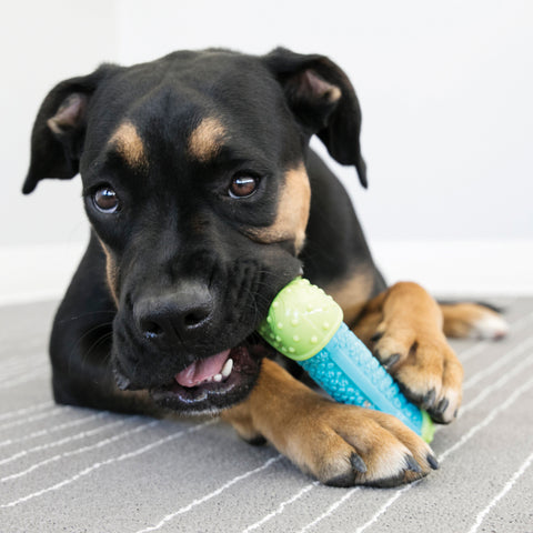 CoreStrength Bone