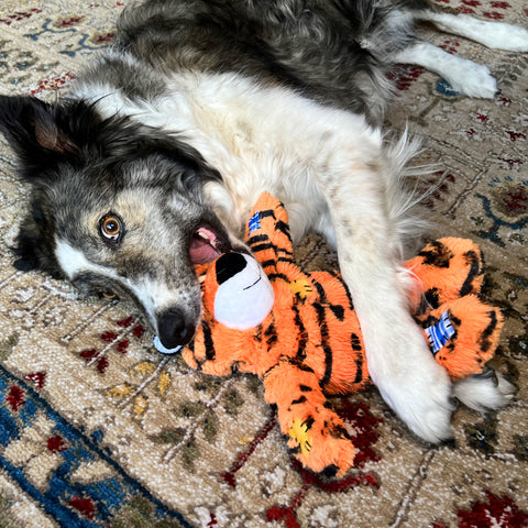 Wild Knots Tiger