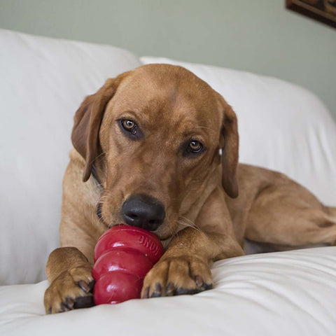 Snacks Liver