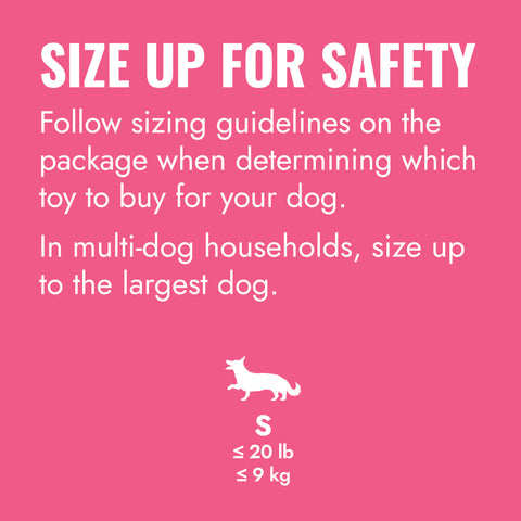 KONG Puppy Goodie Bone Pink