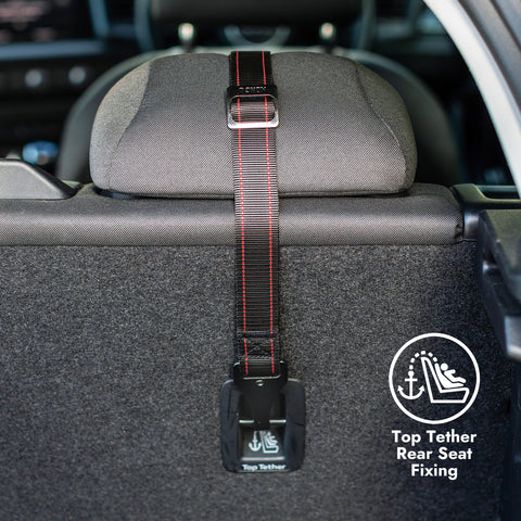 KONG Utility Safety Tether and Booster Seat