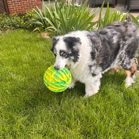 Flexball Sport Ball